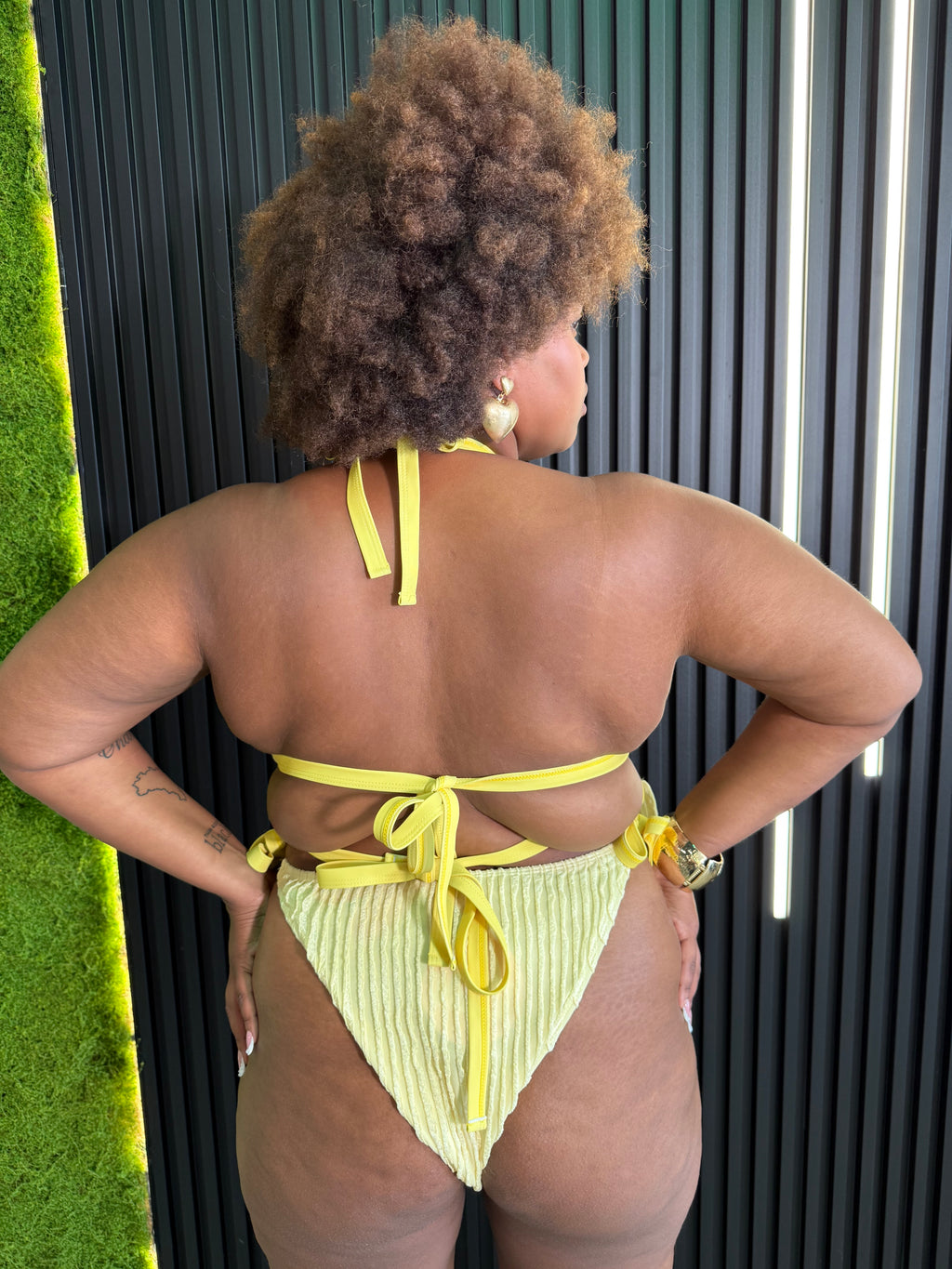 Bikini Butterfly