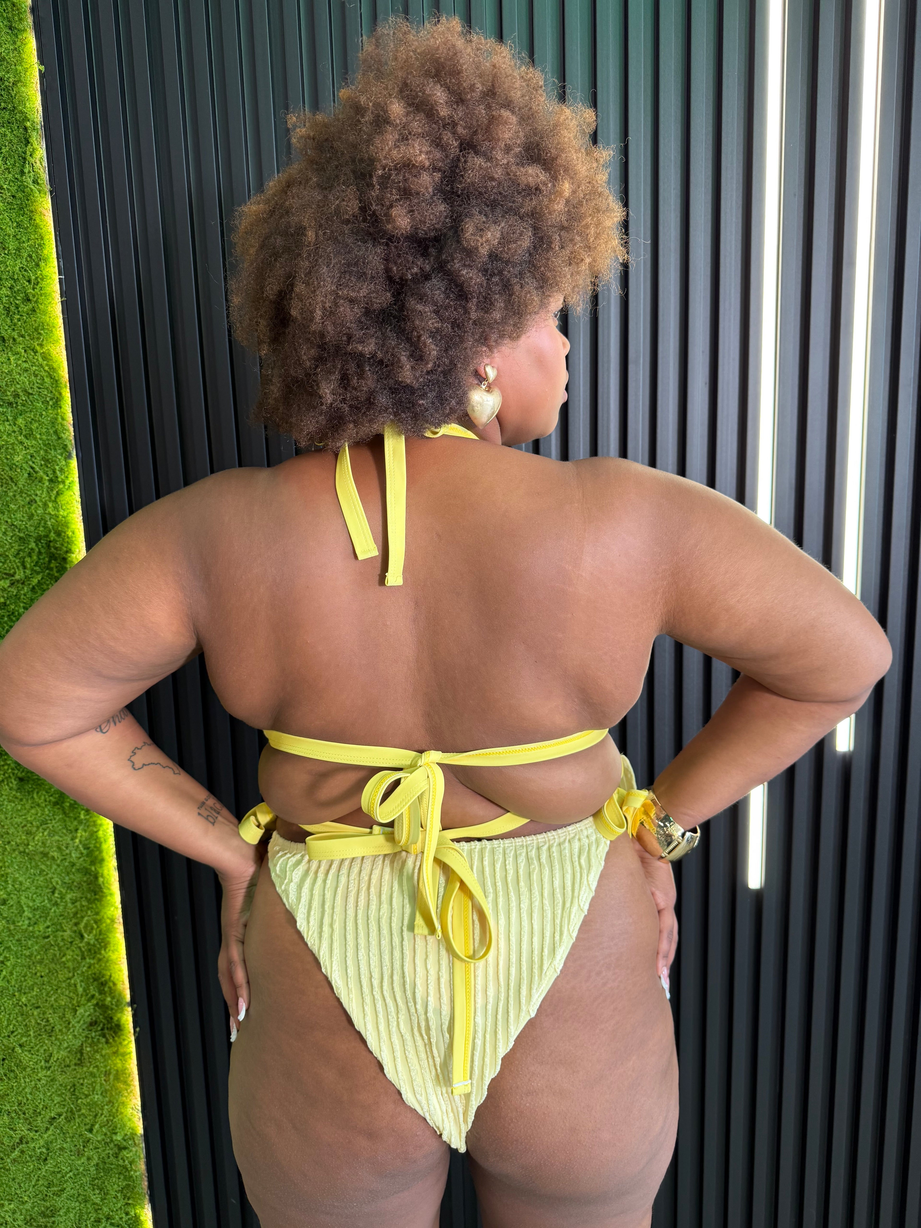 Bikini Butterfly